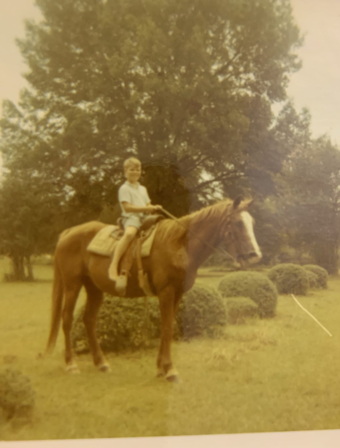 A photograph from Mark&rsquo;s life